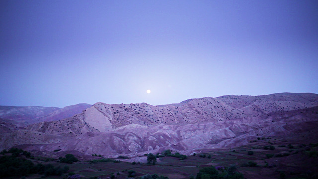 『ハウス・イン・ザ・フィールズ』