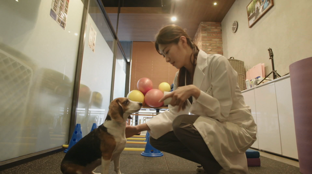 「HEART SIGNAL3」　（C）ABEMA