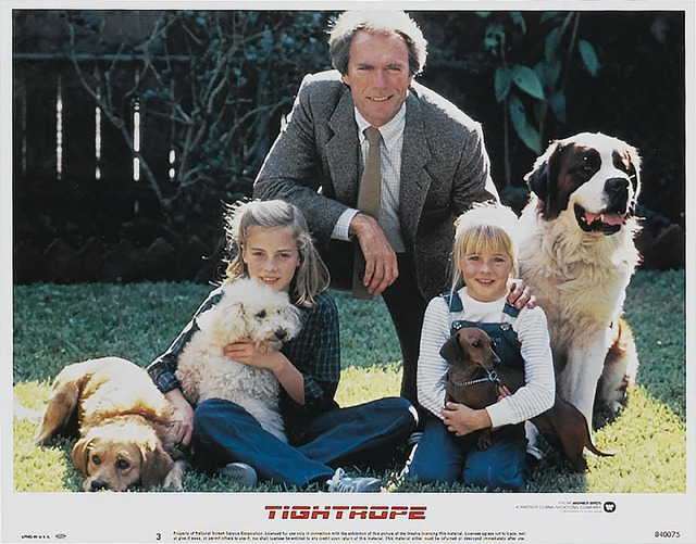 『タイトロープ』 (C) APOLLO