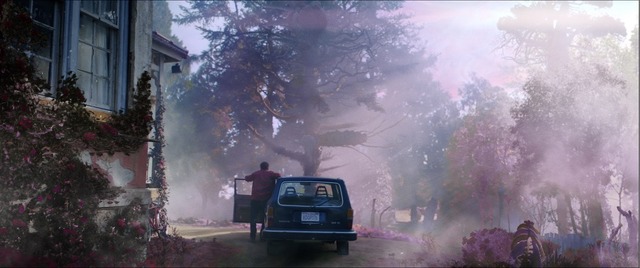 『カラー・アウト・オブ・スペース―遭遇―』（C） 2019 ACE PICTURES ENTERTAINMENT LLC. All Rights Reserved