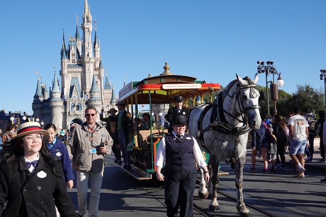 マジックキングダム・パーク