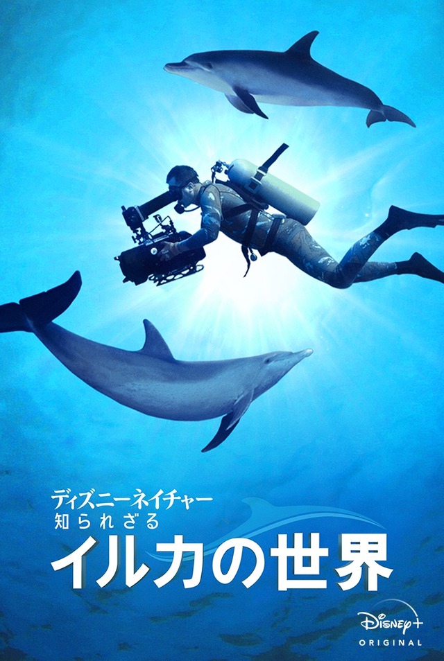 Disney+配信『ディズニーネイチャー／知られざるイルカの世界』（C） 2020　Disney
