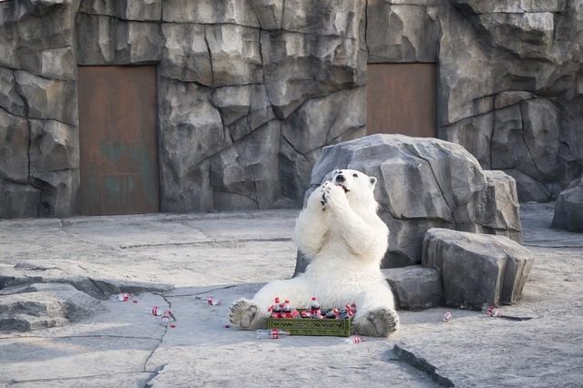 『シークレット・ジョブ』（C） 2020 ACEMAKER MOVIEWORKS & about Film, DCG PLUS. All Rights Reserved.