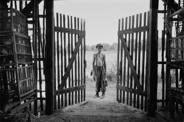 『異端の鳥』　COPYRIGHT＠2019 ALL RIGHTS RESERVED SILVER SCREEN CESKA TELEVIZE EDUARD & MILADA KUCERA DIRECTORY FILMS ROZHLAS A TELEVIZIA SLOVENSKA CERTICON GROUP INNOGY PUBRES RICHARD KAUCKY