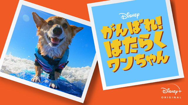 「がんばれ！はたらくワンちゃん」8月7日（金）よりディズニープラスで配信開始 (C) 2020 Disney