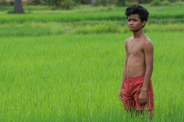 『ボヤンシー 眼差しの向こうに』(C)2019 Causeway Films HQ Pty Ltd, Filmfest Limited and Screen Australia. All rights reserved.