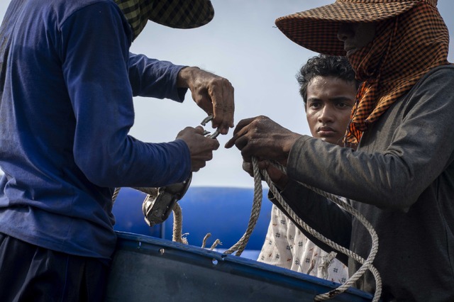 『ボヤンシー 眼差しの向こうに』(C)2019 Causeway Films HQ Pty Ltd, Filmfest Limited and Screen Australia. All rights reserved.