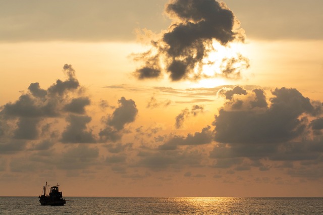 『ボヤンシー 眼差しの向こうに』(C)2019 Causeway Films HQ Pty Ltd, Filmfest Limited and Screen Australia. All rights reserved.