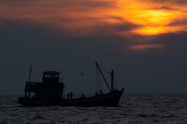 『ボヤンシー 眼差しの向こうに』(C)2019 Causeway Films HQ Pty Ltd, Filmfest Limited and Screen Australia. All rights reserved.