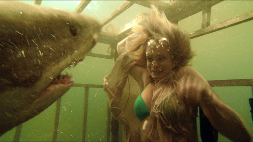 『シャーク・ナイト』 -(C) 2011 INCENTIVE FILM PRODUCTIONS, LLC. ALL RIGHTS RESERVED.