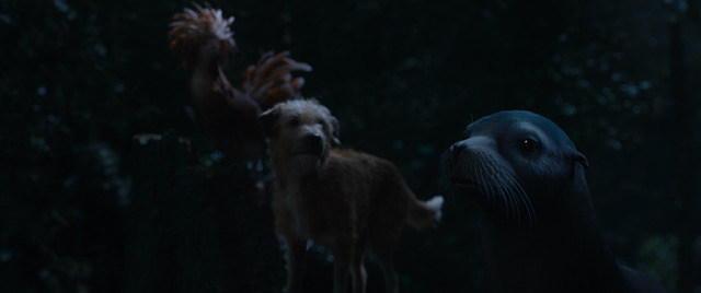 『ゴリラのアイヴァン』（C）2020 Disney