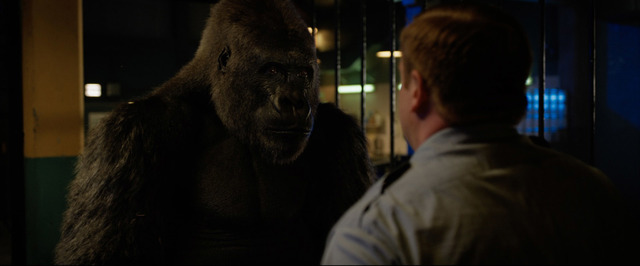 『ゴリラのアイヴァン』（C）2020 Disney