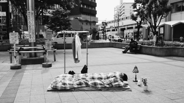 『覚めぬ夢などあるじゃなし』