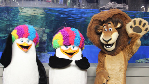 『マダガスカル3』×すみだ水族館 in 東京スカイツリーでのイベント（柳沢慎吾＆エリック・ダーネル監督）