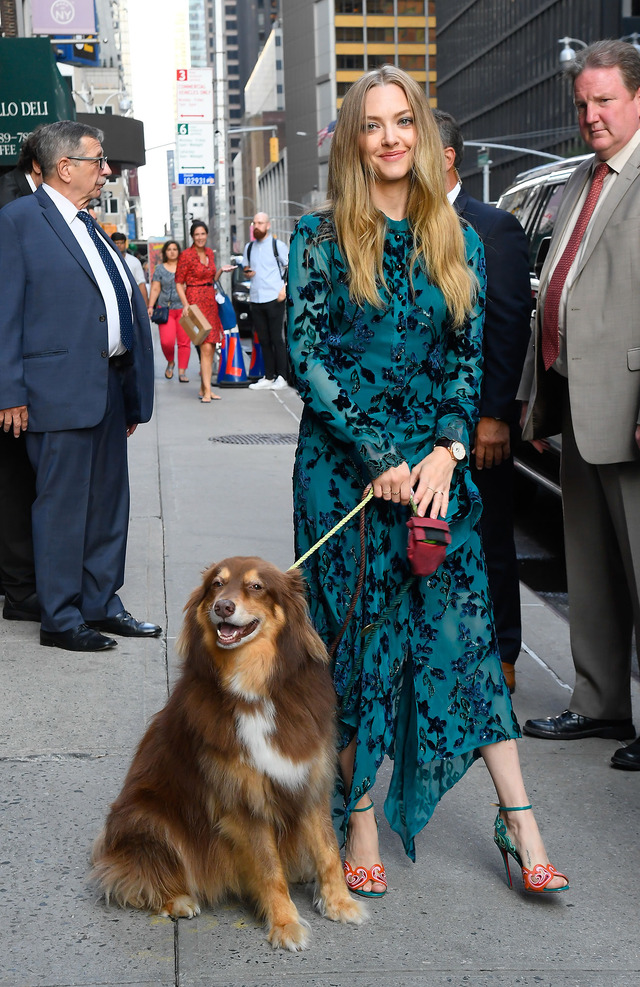 アマンダ・セイフライド Photo by Raymond Hall/GC Images