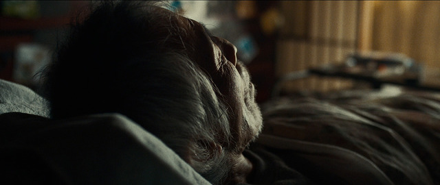 「ショートショート フィルムフェスティバル ＆ アジア 2020 -秋の映画祭-」『緑の雪』