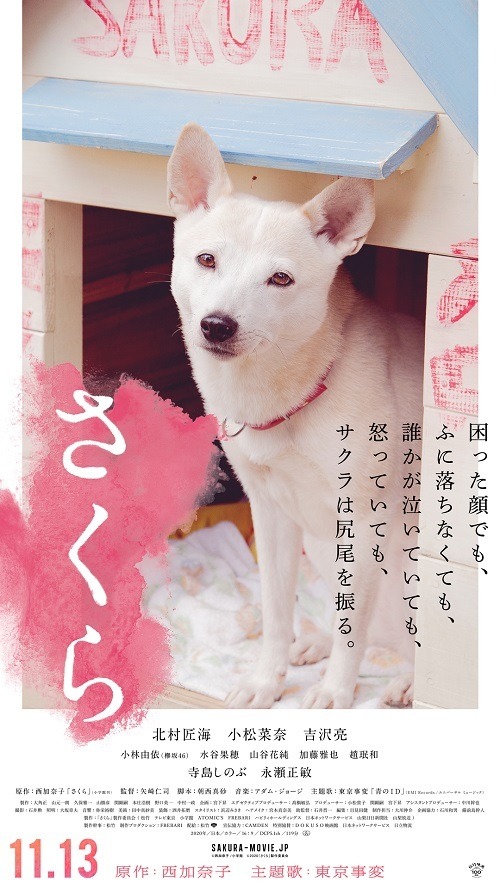 『さくら』（C）西加奈子／小学館 （C）2020「さくら」製作委員会