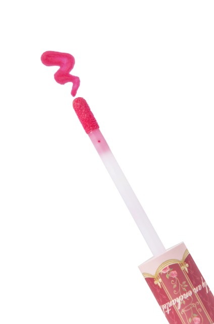 東京ディズニーランド、大規模開発エリア関連グッズの数々