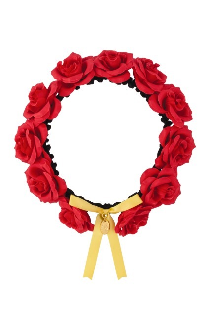 東京ディズニーランド、大規模開発エリア関連グッズの数々