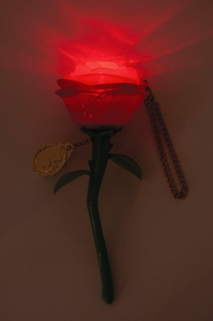 東京ディズニーランド、大規模開発エリア関連グッズの数々