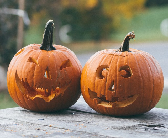 今年はおうちでハロウィン！ 家族や友人と観たい、ハロウィン映画特集