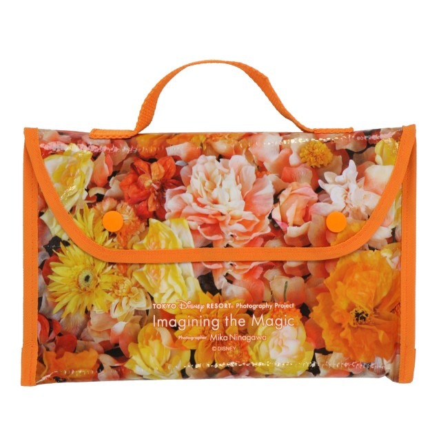 レジャーシート 900円(C) Disney