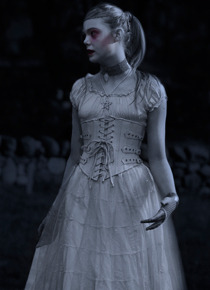 『Virginia／ヴァージニア』 -(C) Zoetrope Corp.2011