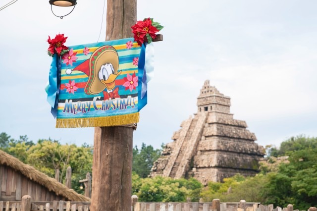 クリスマスの東京ディズニーリゾート(C) Disney