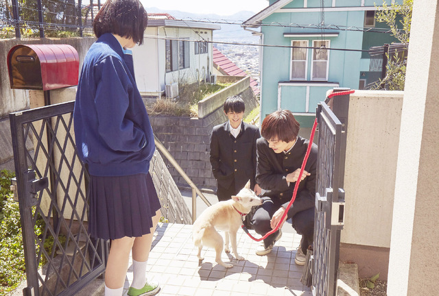 『さくら』　（C）西加奈子/小学館 （C）2020 「さくら」製作委員会