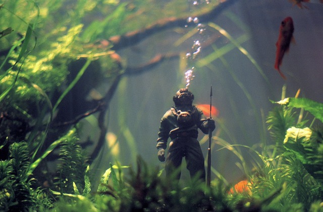 『水を抱く女』　（C）SCHRAMM FILM / LES FILMS DU LOSANGE / ZDF / ARTE / ARTE France Cinema 2020