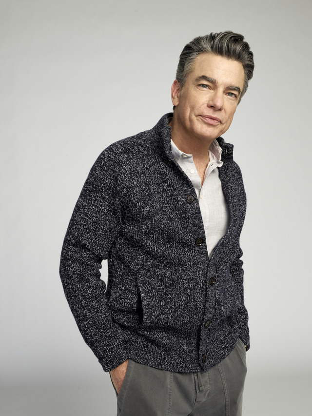 ミッチ・クラーク役 (ピーター・ギャラガー)