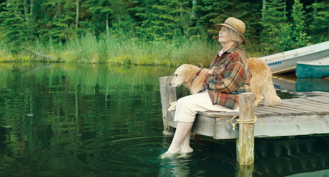 『やすらぎの森』(C)2019 - les films insiders inc. - une filiale des films OUTSIDERS inc.