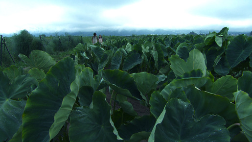 『天のしずく　辰巳芳子“いのちのスープ”』 -(C) 2012天のしずく製作委員会