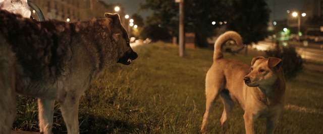 『犬は歌わない』（C）Raumzeitfilm