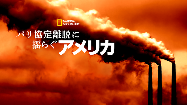 『パリ協定離脱に揺らぐアメリカ』(C) 2021 NGC Network US, LLC. All rights reserved.