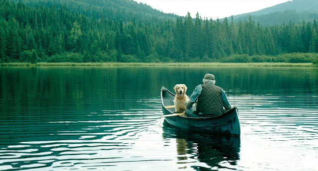 『やすらぎの森』（C）2019 - les films insiders inc. - une filiale des films OUTSIDERS inc.