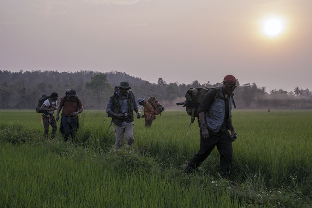 『ザ・ファイブ・ブラッズ』Netflixにて配信中