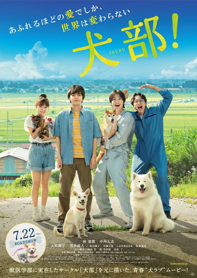 『犬部！』本ビジュアル　（C）2021『犬部！』製作委員会