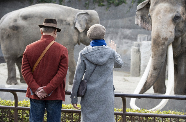 「生きるとか死ぬとか父親とか」第5話 (c)「生きるとか死ぬとか父親とか」製作委員会