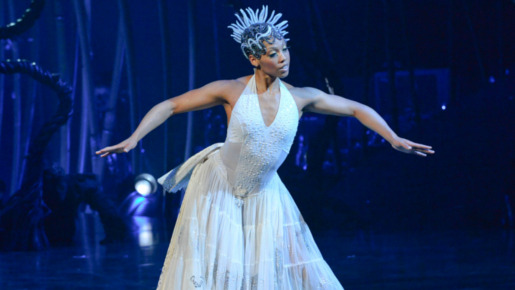 「シルク・ドゥ・ソレイユ」 -(C) Al Seib