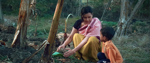 『コトリの歌 (The Bird Song)』