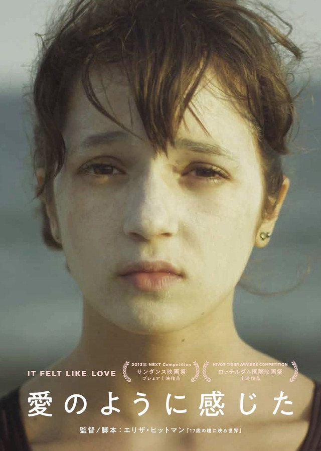 『愛のように感じた』　（C）2013 IFLL MOVIE LLC