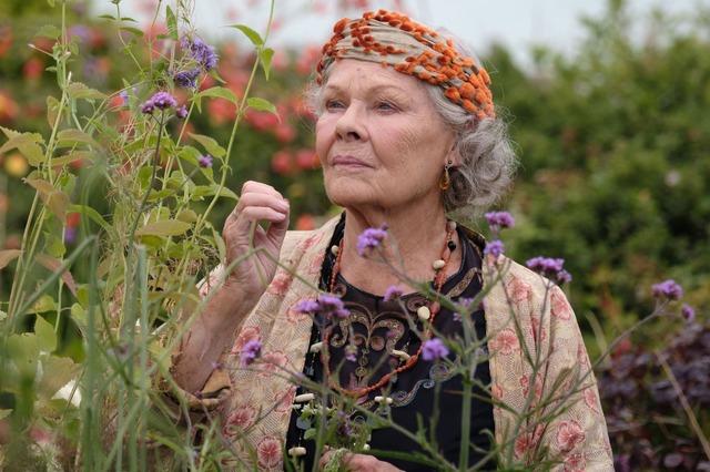 『ブライズ・スピリット～夫をシェアしたくはありません！』 (C) BLITHE SPIRIT PRODUCTIONS LTD 2020