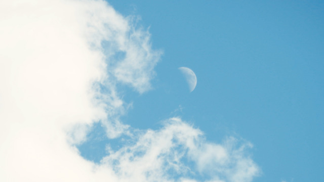 『WHOLE／ホール』（C）078