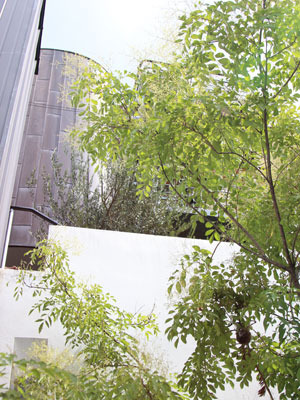 cinemacafe.net「baby cafe」会場風景