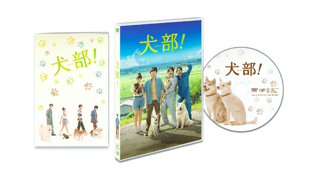 『犬部！』DVD（C）2021『犬部!』製作委員会