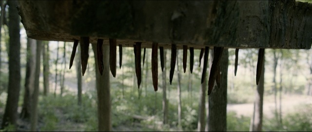 『クライモリ』（C） 2020 Constantin Film Produktion GmbH