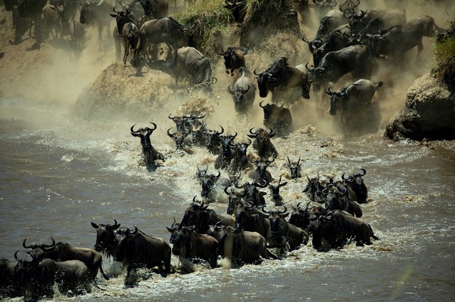「ウェルカム・トゥ・アース あなたの知らない地球」　（C）2021 National Geographic Partners LCC.