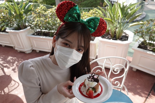 「東京ディズニーランドのクリスマス」As to Disney artwork, logos and properties： (C) Disney