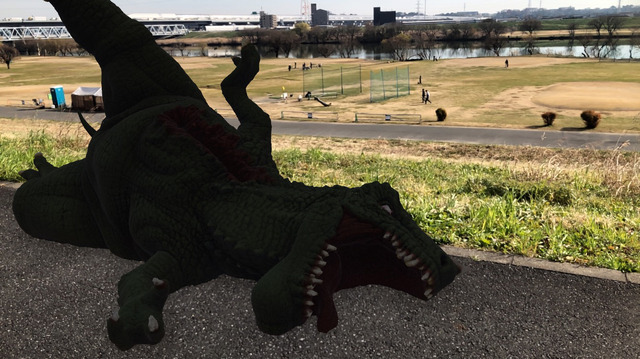 AR『大怪獣のあとしまつ』（C）2022「大怪獣のあとしまつ」製作委員会